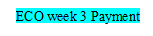 ECO Wk 3 Payment