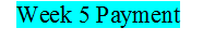 MGT Wk-5 Payment