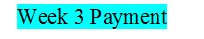 MGT Wk-3 Payment