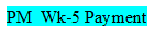 PM Wk-5 Payment