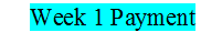 MGT Wk-1 Payment