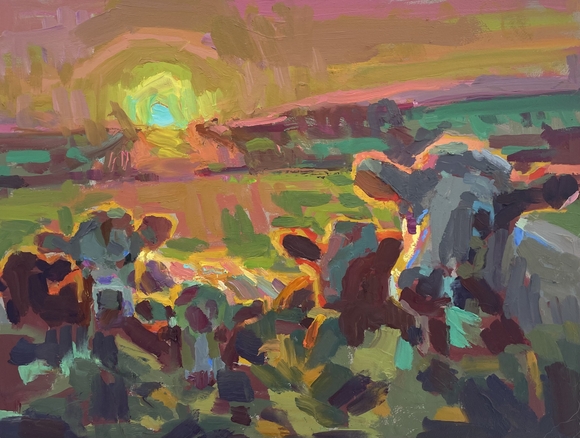 Sunset Cows 