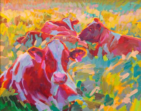 Brian’s cows