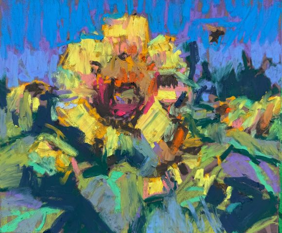 Sunflower Pastel