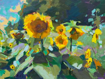 Summer Sunflowers
