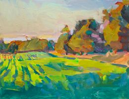June Cornfield Golden Hour