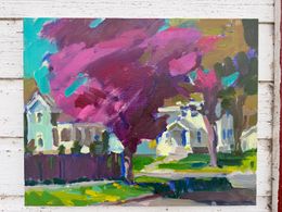 Spring Neighborhood in Baraboo