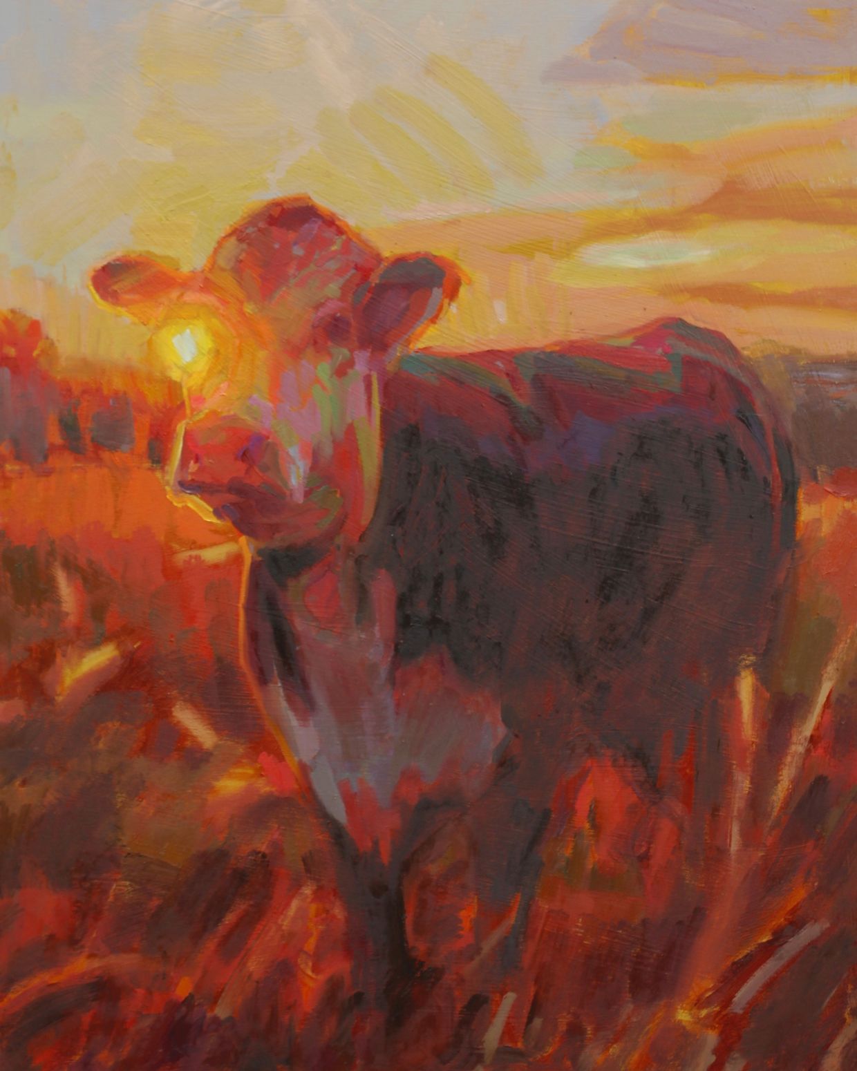 Sunset Cow 30 x 24"