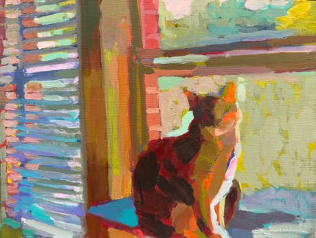 Cat in the Window