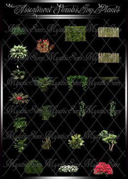 Assortment Shrubs,Ivy, Plants IMVU Textures