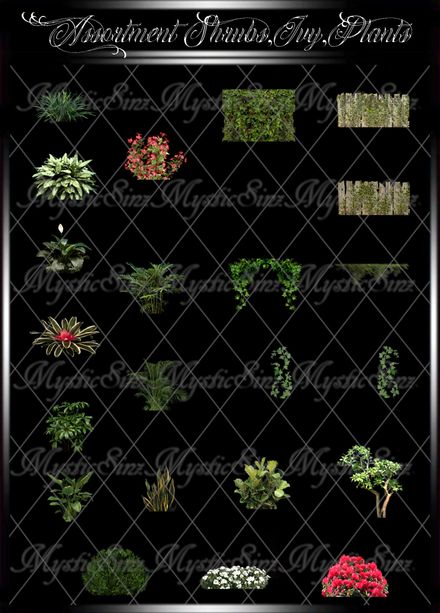 Assortment Shrubs,Ivy, Plants IMVU Textures