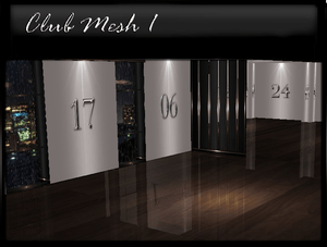 Dance Club Mesh 1