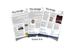 The Bridge Bundle Issues 4-6