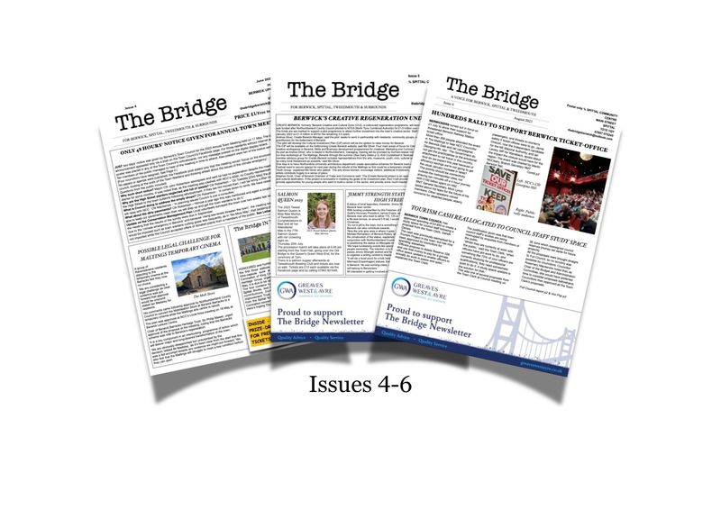 The Bridge Bundle Issues 4-6