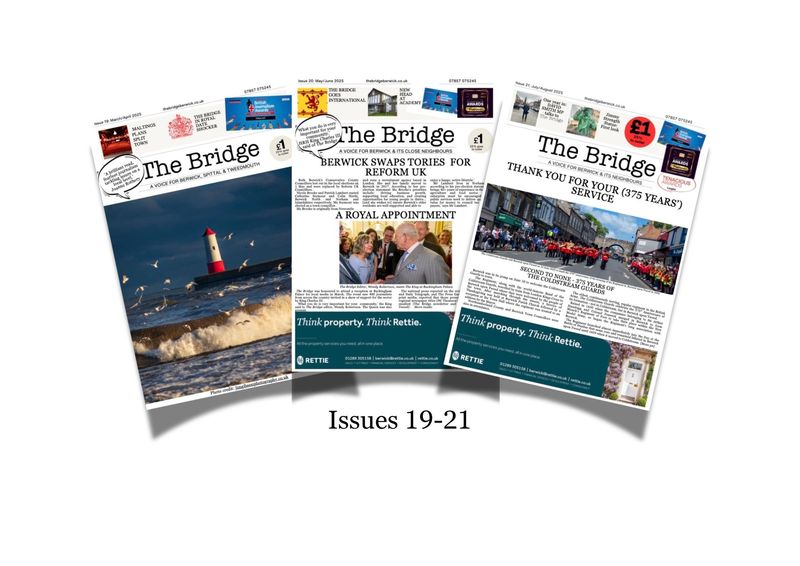 The Bridge Bundle Issues 19-21