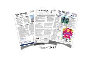 The Bridge Bundle Issues 10-12