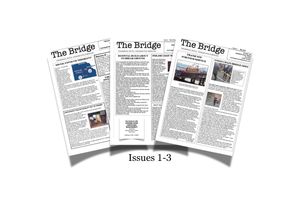 The Bridge Bundle Issues 1-3