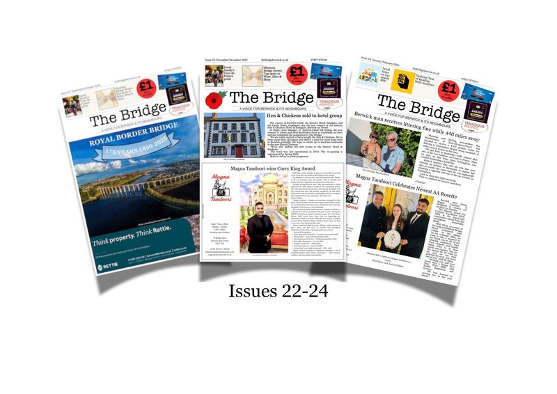 The Bridge Issues 22-24