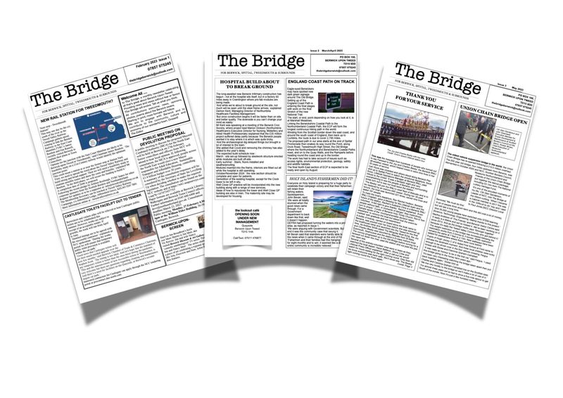 The Bridge Bundle Issues #1-3