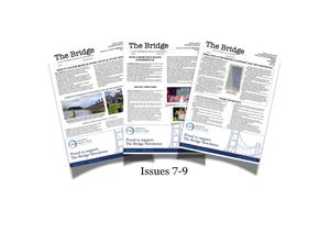 The Bridge Bundle Issues 7-9