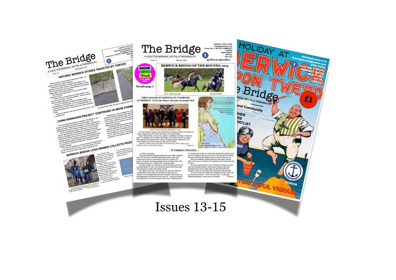 The Bridge Bundle Issues 13-15