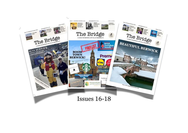 The Bridge Issues 15-18