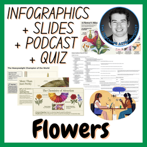 Flowers | Infographics + Slides + Podcast + Quiz | Biology Set