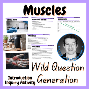 Muscles Wild Question Generation Inquiry | Health / Physical Edu Warmup Activity