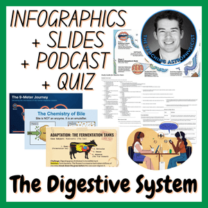 The Digestive System | Infographics + Slides + Podcast + Quiz | Biology Set