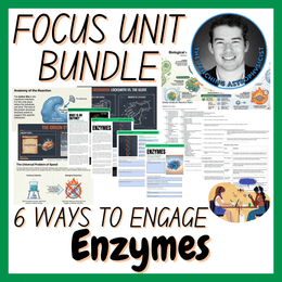 Enzymes | Biology Focus Unit Bundle | 6 Resources inc. Quiz