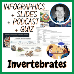 Invertebrates | Infographics + Slides + Podcast + Quiz | Biology Set
