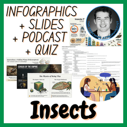 Insects | Infographics + Slides + Podcast + Quiz | Biology / Life Science Set