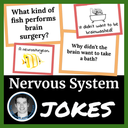 Nervous System Joke a day | 20 hilarious jokes | Printable + Digital Slides