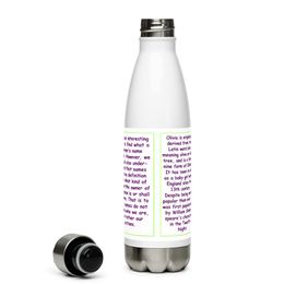 17-ounce, double-walled stainless steel water bottle “What is in a name”  Olivia