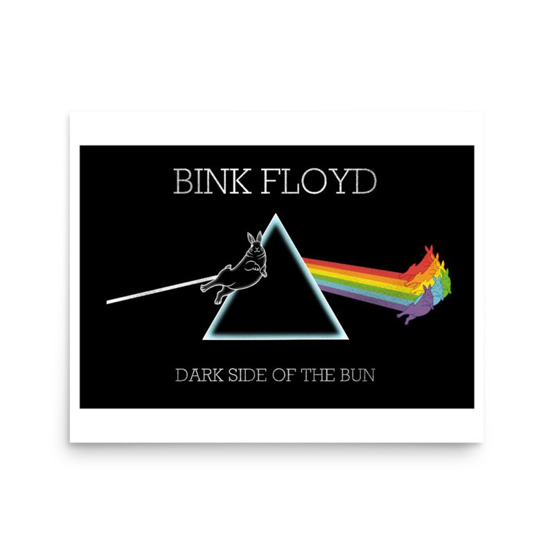 BINK FLOYD 16x20 Art Print