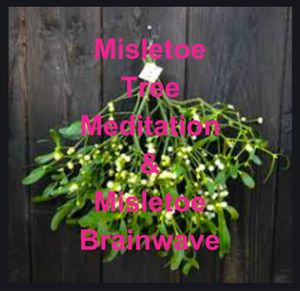 1 - Misletoe Sleep Meditation &amp; Misletoe Brainwave