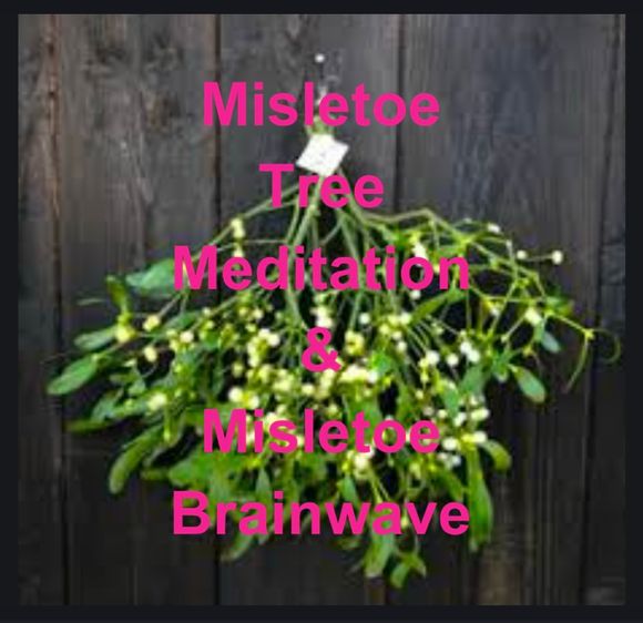 1 - Misletoe Sleep Meditation &amp; Misletoe Brainwave