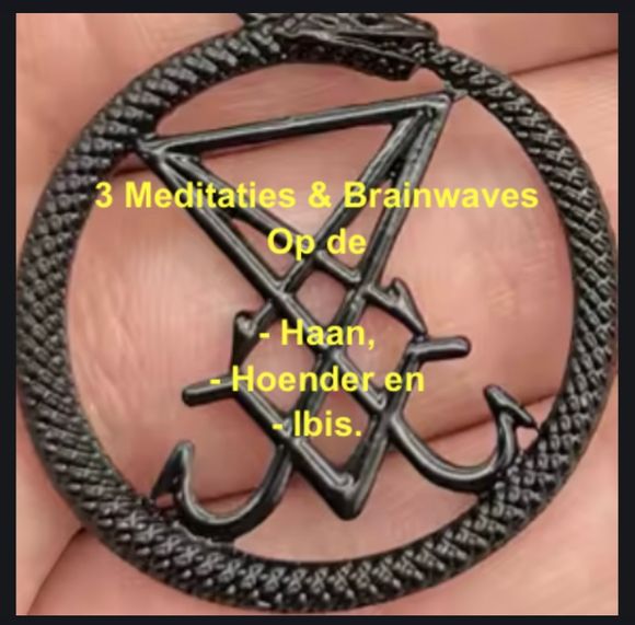 3 Dieren Meditaties &amp; Brainwaves van de Haan, Hoender en Ibis