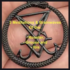 3 Animal Meditations and Brainwaves of The Rooster, Grouse and Ibis. 