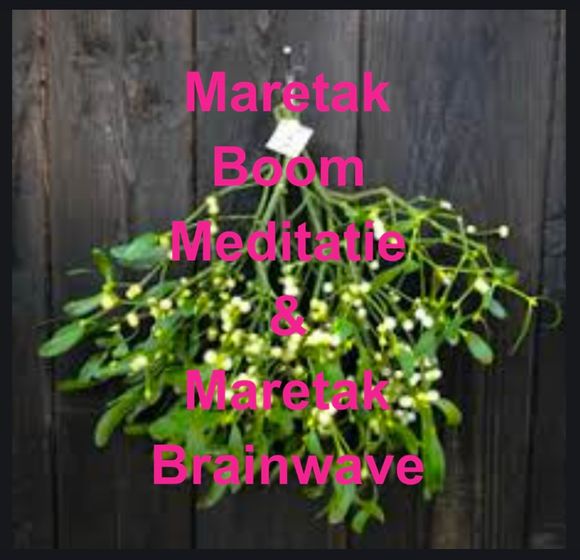 1 - Maretak Slaap Meditatie &amp; Maretak Brainwave.