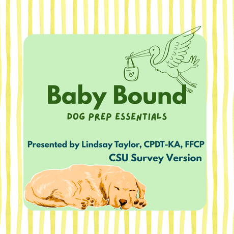 Baby Bound: Dog Prep Essentials Webinar (CSU Survey Version)