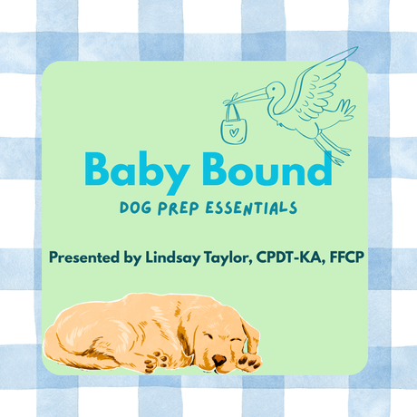 Baby Bound: Dog Prep Essentials Webinar