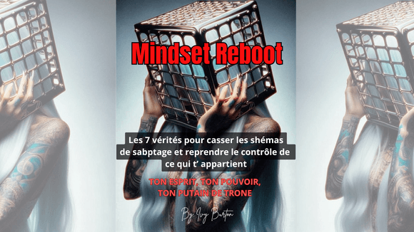 e-book [FR} : Reprogramme ton mental et sors de ta matrice 
