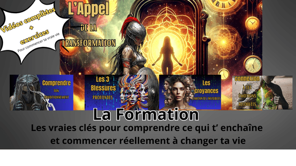 mentoring [FR] : L&#x27;appel de la transformation