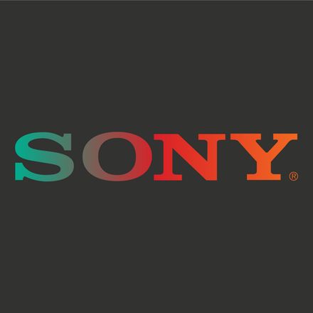 DELUTS EMULSION LUTS — SONY