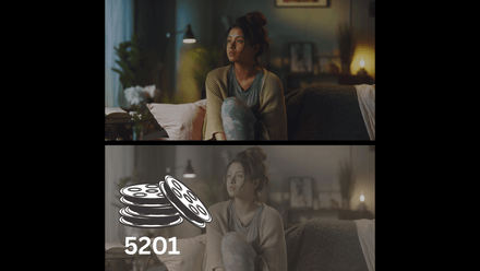 Rocket Rooster Film Labs 5201 LUT