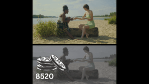Rocket Rooster Film Labs 8520 LUT