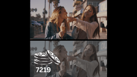 Rocket Rooster Film Labs 7219 LUT