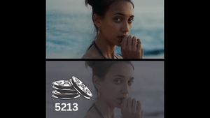 Rocket Rooster Film Labs 5213 LUT