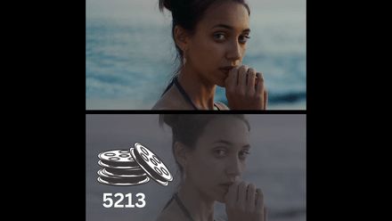Rocket Rooster Film Labs 5213 LUT